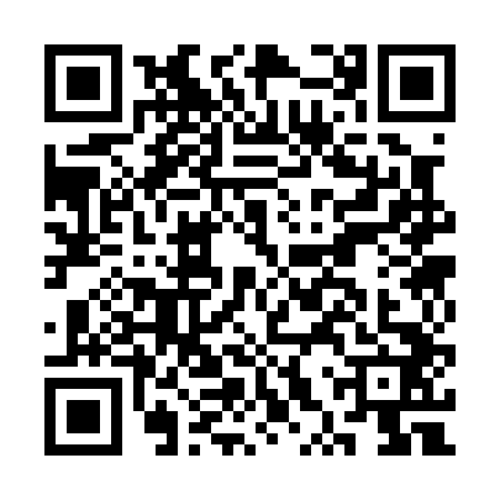 QR code for CXS0424