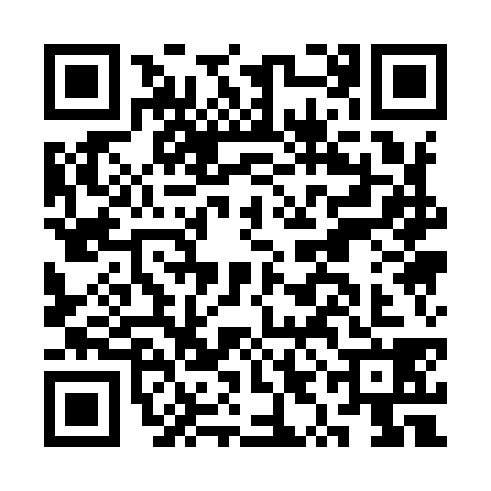 QR code for CYA9383