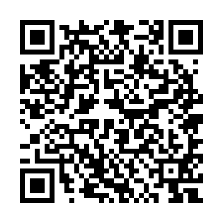 QR code for CZE2919