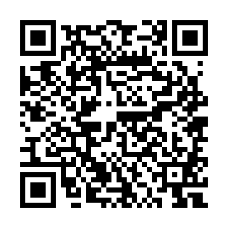 QR code for CZJ3816