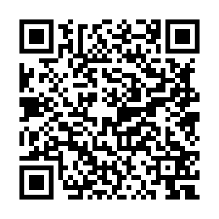 QR code for CZP8239