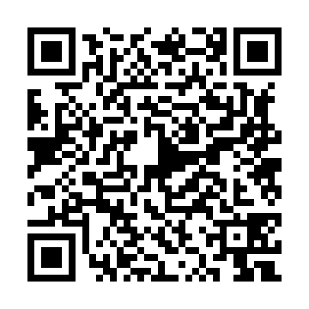 QR code for CZR8385