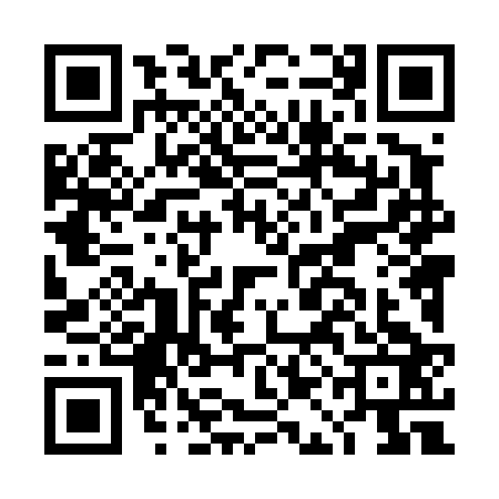 QR code for DAL4234