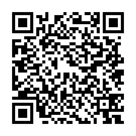 QR code for DBJ5393