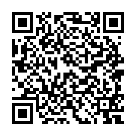 QR code for DBM2919