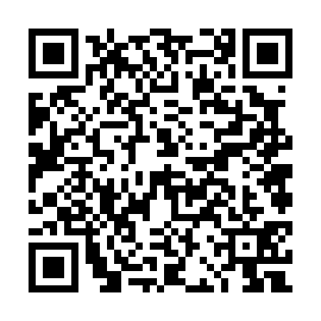 QR code for DBV0313
