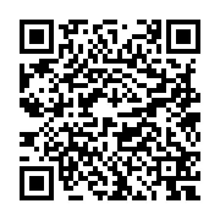 QR code for DCC9228