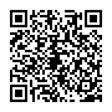 QR code for DCZ0303