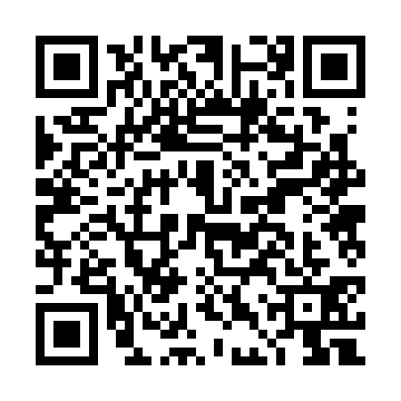 QR code for DDR3311