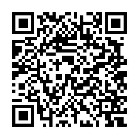 QR code for DDR4663