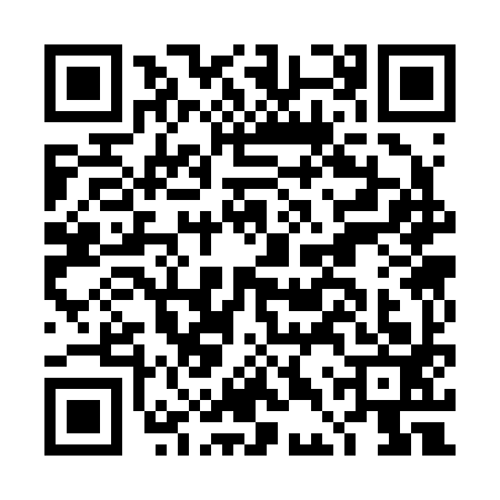 QR code for DDS2930