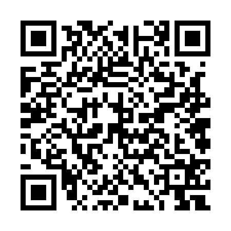 QR code for DDV1241