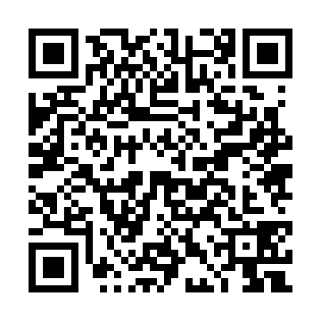 QR code for DDZ3384