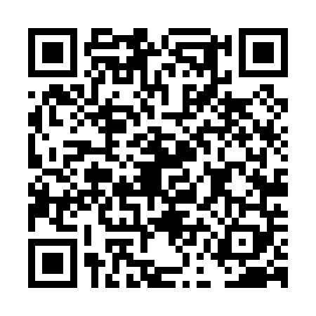 QR code for DEL0493