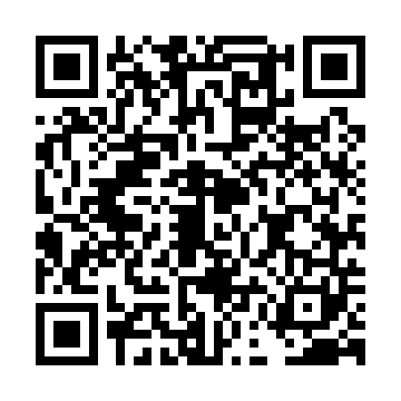 QR code for DEM1419