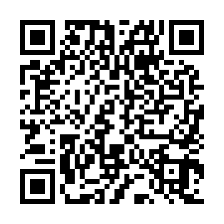 QR code for DEN9411