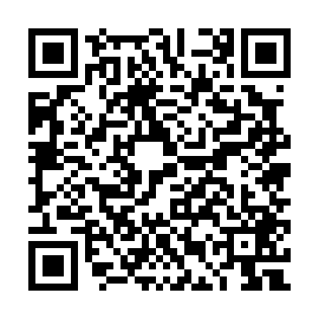QR code for DEU0493