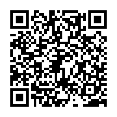 QR code for DFF1411