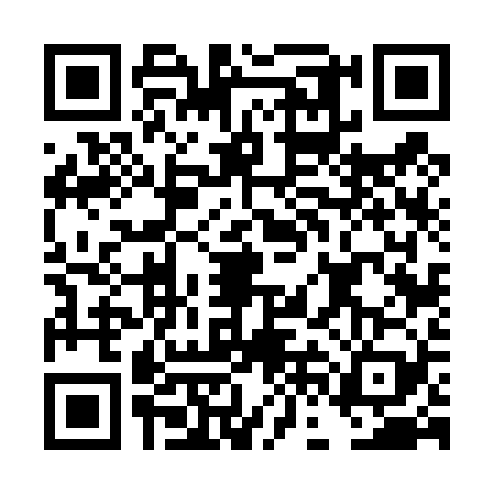 QR code for DFF4299