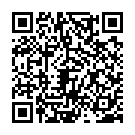 QR code for DFF7113