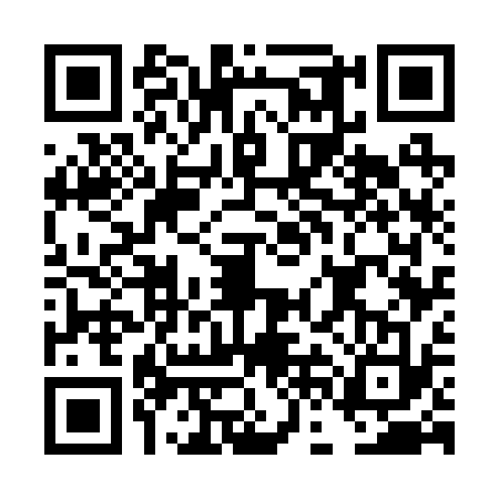 QR code for DFG2334
