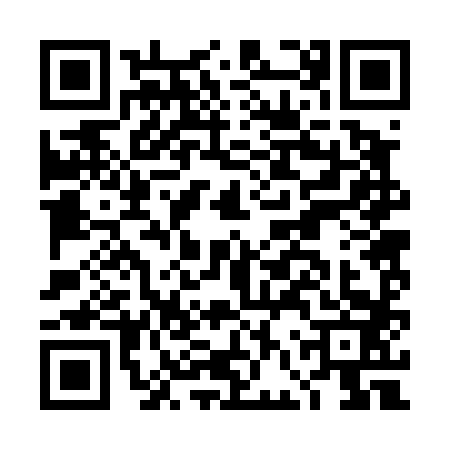 QR code for DFR4839