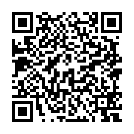 QR code for DFY4994