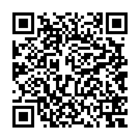 QR code for DGT0293