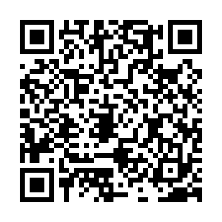 QR code for DIA1335