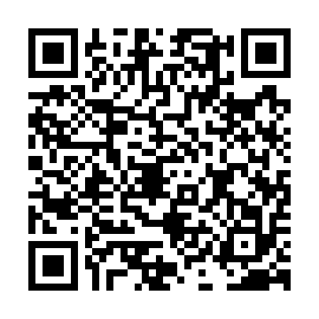 QR code for DIA7125