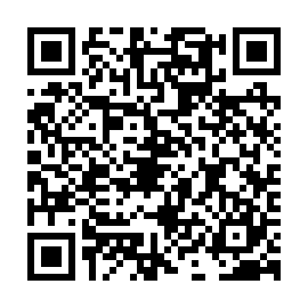 QR code for DIC2271