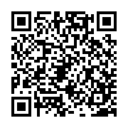 QR code for DIC2866