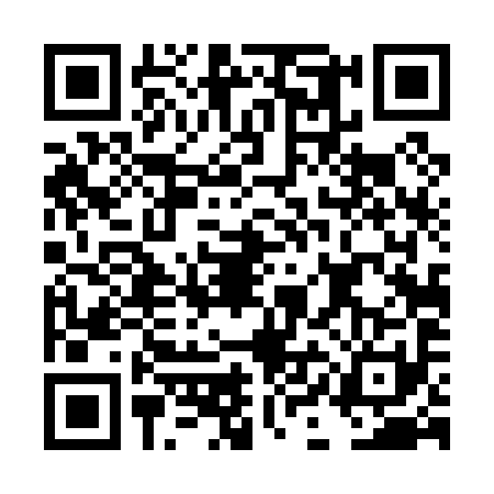 QR code for DID0917