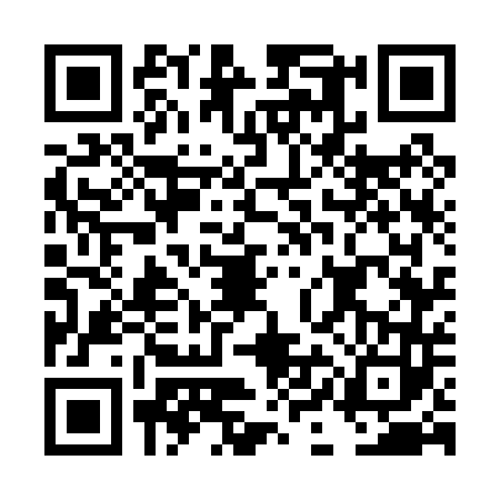 QR code for DIG0439