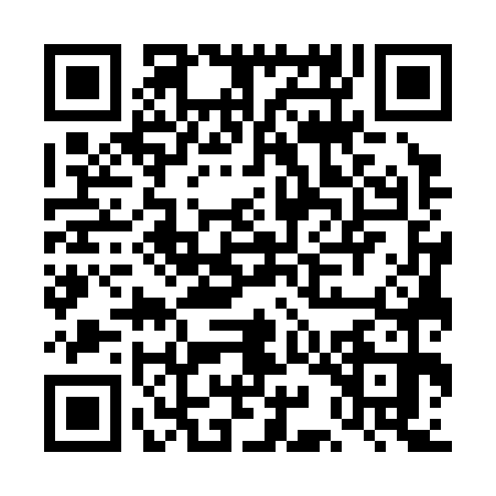QR code for DIG3702