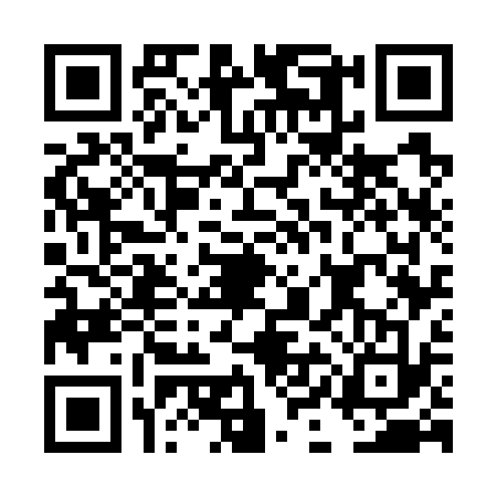 QR code for DIG7333
