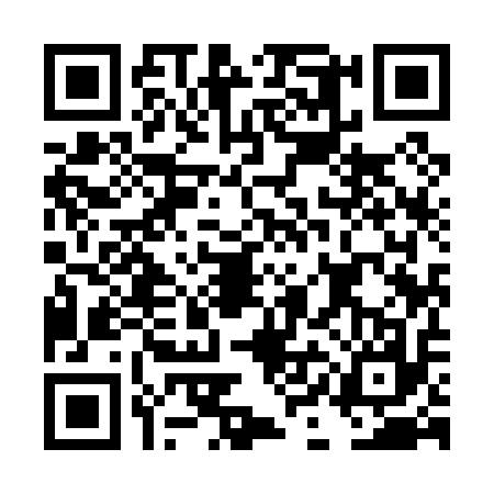 QR code for DII0173