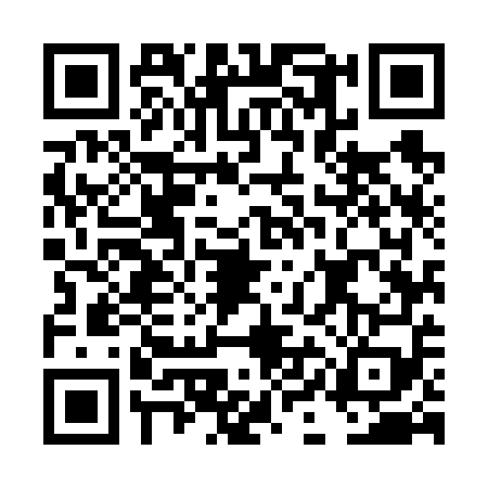 QR code for DIM6593