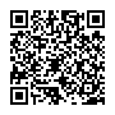 QR code for DIM6608