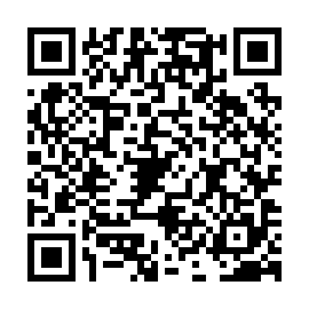 QR code for DIO2956