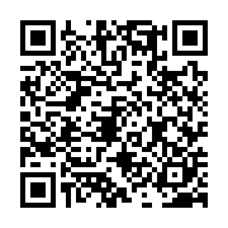 QR code for DIO3001