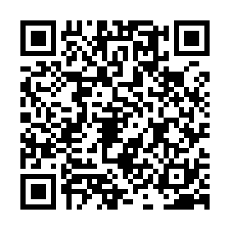 QR code for DIO9317