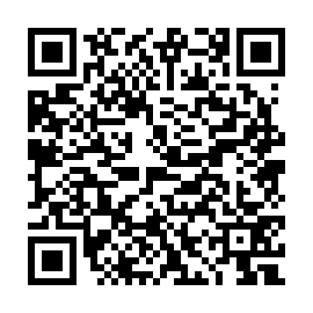 QR code for DIP2731