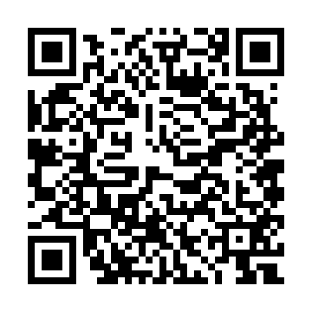 QR code for DIV6529