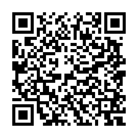 QR code for DIX4407