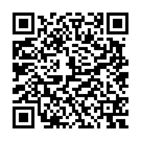 QR code for DIZ4207
