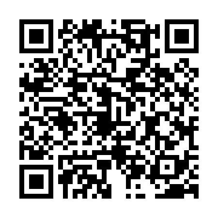 QR code for DJJ0384
