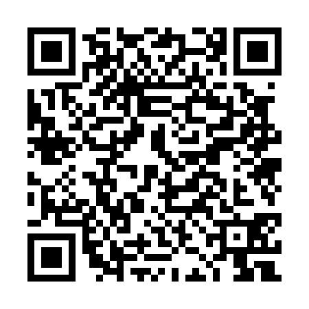 QR code for DJO0309
