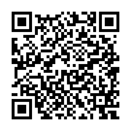 QR code for DLP7953