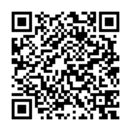 QR code for DLS4384
